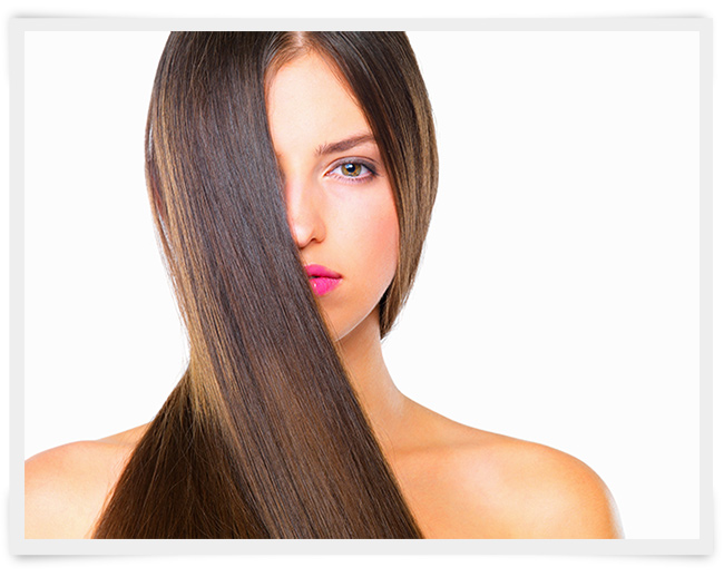 Escova progressiva Portier