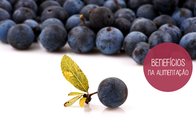 Todo poderoso: as vantagens do açaí para a saúde e a beleza