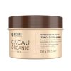 Richée Professional Cacau Organic Btx - Repositor de Massa Capilar 250g